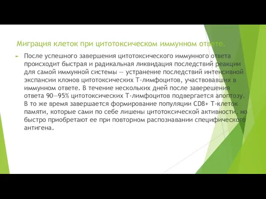 Миграция клеток при цитотоксическом иммунном ответе. После успешного завершения цитотоксического иммунного