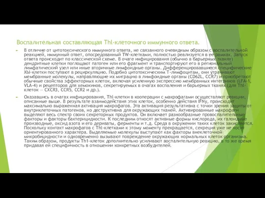 Воспалительная составляющая Thl-клеточного иммунного ответа. В отличие от цитотоксического иммунного ответа,