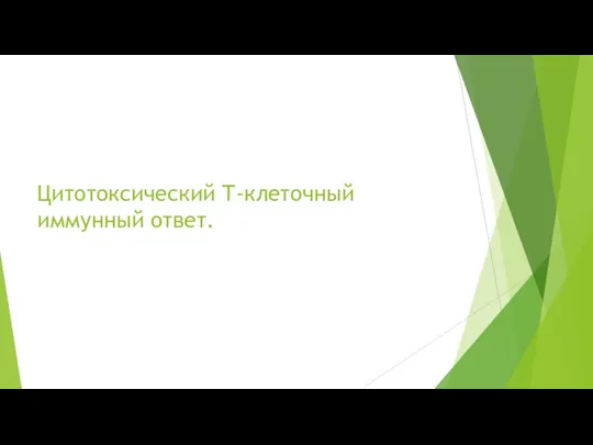 Цитотоксический Т-клеточный иммунный ответ.