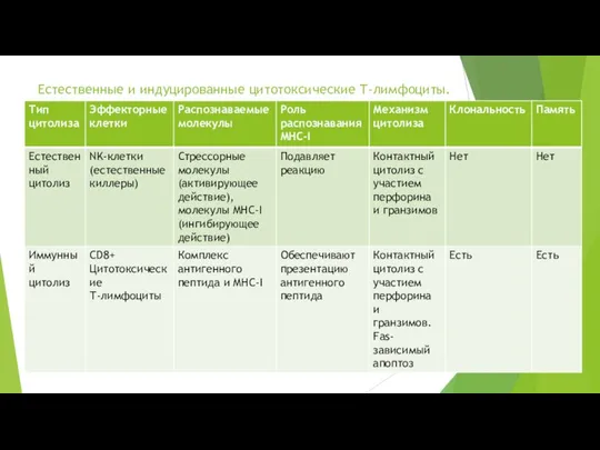 Естественные и индуцированные цитотоксические Т-лимфоциты.