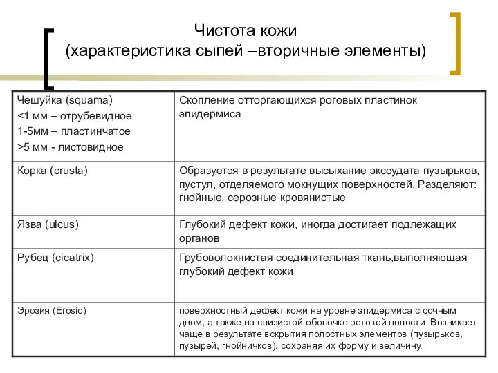 Чистота кожи (характеристика сыпей –вторичные элементы)