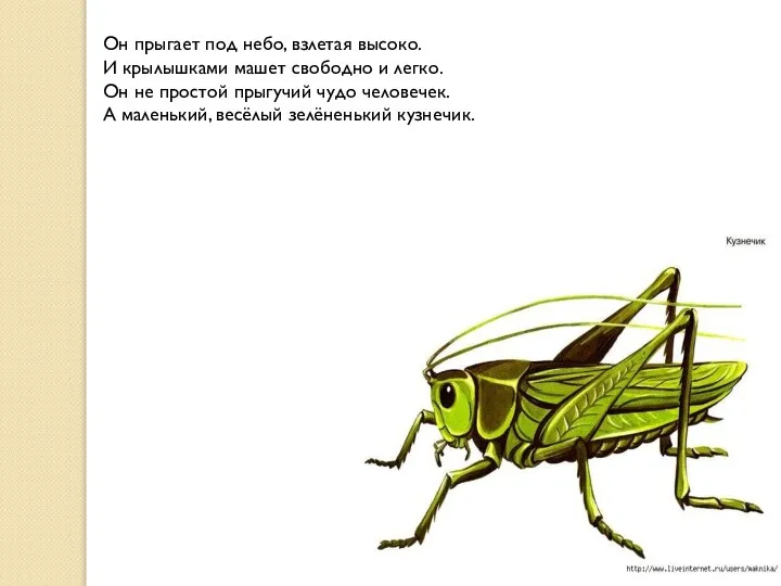 Он прыгает под небо, взлетая высоко. И крылышками машет свободно и