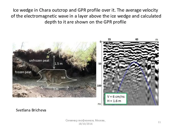 Ice wedge in Chara outcrop and GPR profile over it. The