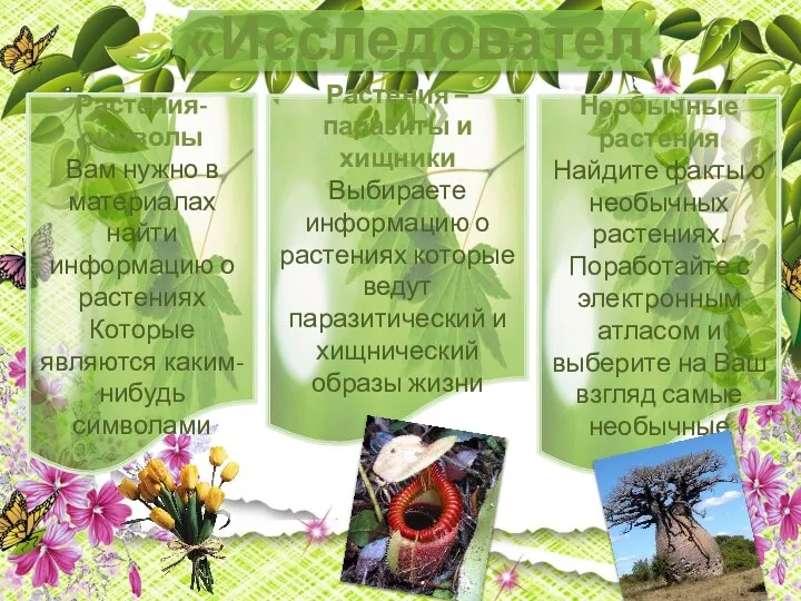 «Исследователи» Растения-символы Вам нужно в материалах найти информацию о растениях Которые