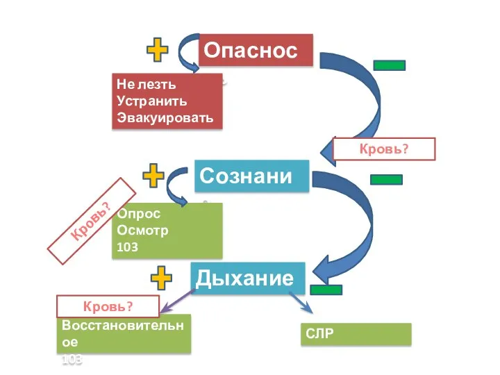 Опасность Не лезть Устранить Эвакуировать Сознание Опрос Осмотр 103 Дыхание Восстановительное 103 СЛР Кровь? Кровь? Кровь?