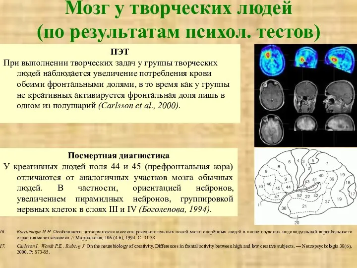 Посмертная диагностика У креативных людей поля 44 и 45 (префронтальная кора)