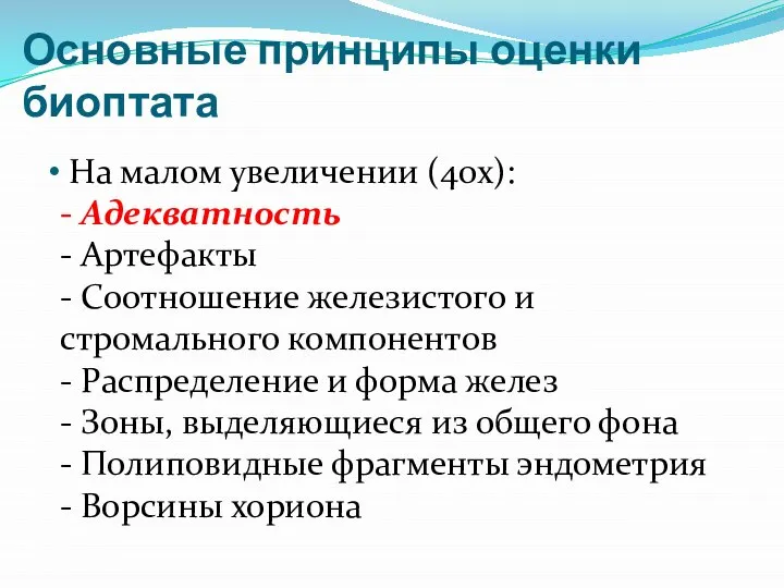 Основные принципы оценки биоптата На малом увеличении (40х): - Адекватность -