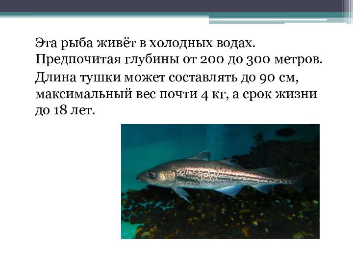 Эта рыба живёт в холодных водах. Предпочитая глубины от 200 до