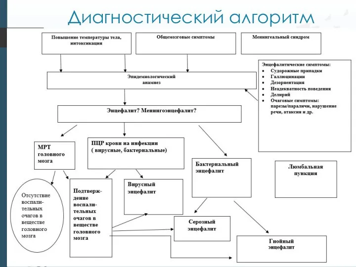 Диагностический алгоритм