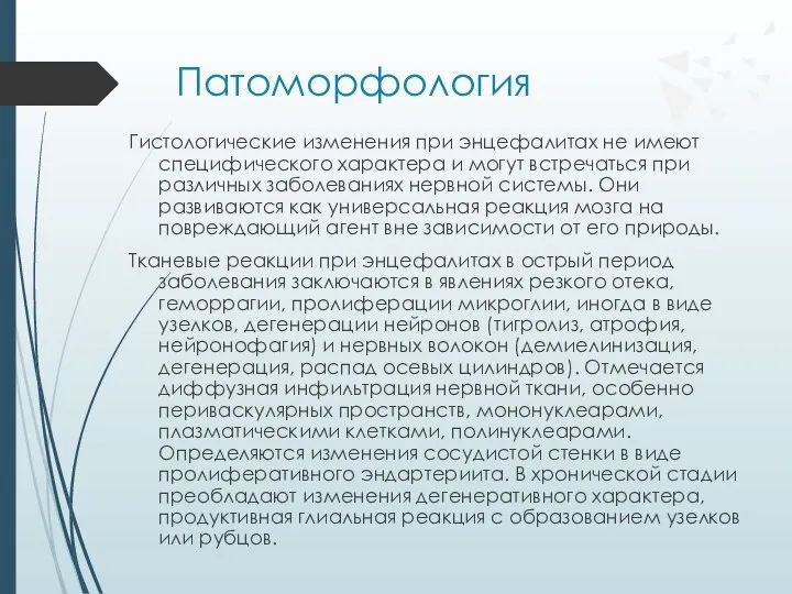 Патоморфология Гистологические изменения при энцефалитах не имеют специфического характера и могут