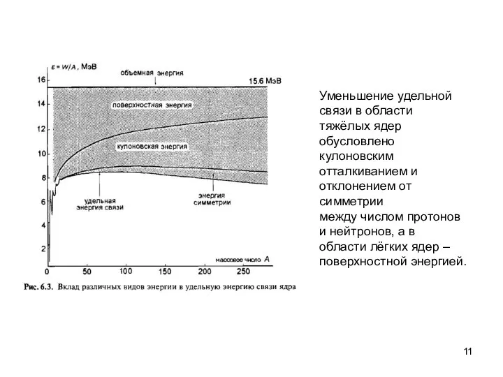 Уменьшение удельной связи в области тяжёлых ядер обусловлено кулоновским отталкиванием и