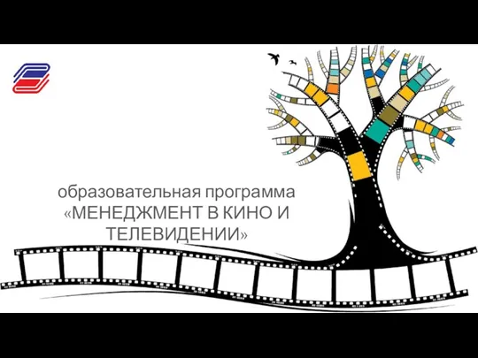 образовательная программа «МЕНЕДЖМЕНТ В КИНО И ТЕЛЕВИДЕНИИ»