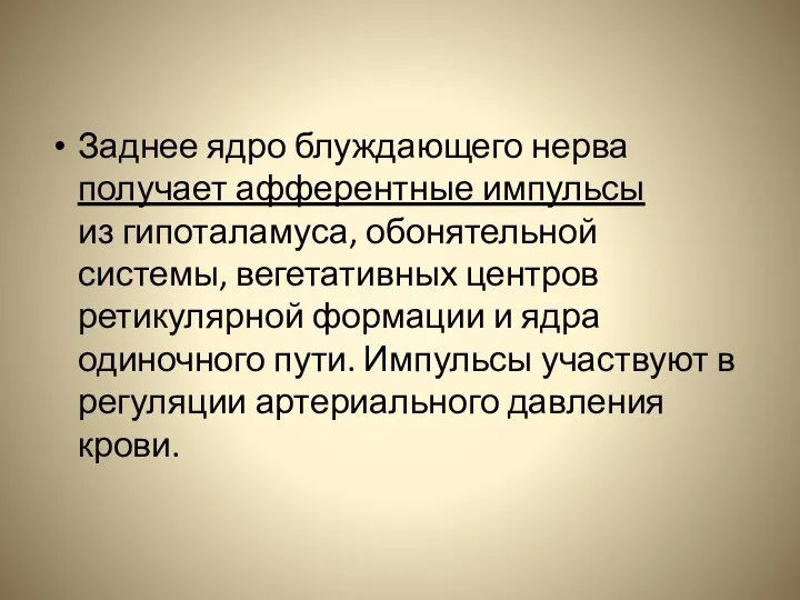 Заднее ядро блуждающего нерва получает афферентные импульсы из гипоталамуса, обонятельной системы,