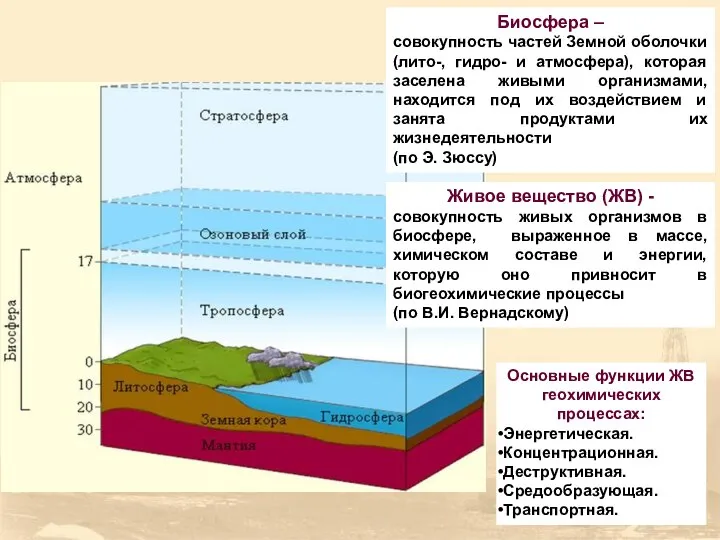 Живое вещество (ЖВ) - совокупность живых организмов в биосфере, выраженное в