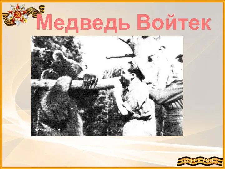 Медведь Войтек