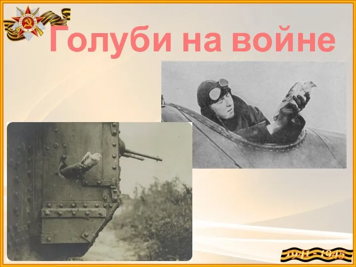 Голуби на войне