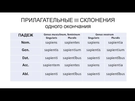 ПРИЛАГАТЕЛЬНЫЕ III СКЛОНЕНИЯ одного окончания