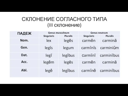 СКЛОНЕНИЕ СОГЛАСНОГО ТИПА (III склонение)