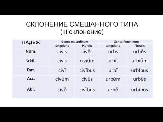 СКЛОНЕНИЕ СМЕШАННОГО ТИПА (III склонение)