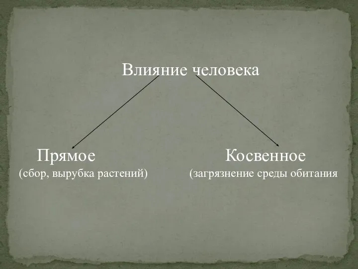 Влияние человека Прямое Косвенное (сбор, вырубка растений) (загрязнение среды обитания