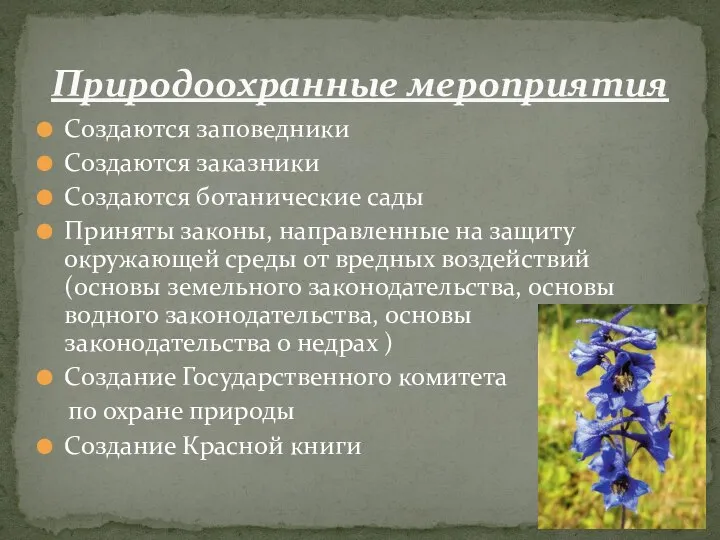 Создаются заповедники Создаются заказники Создаются ботанические сады Приняты законы, направленные на