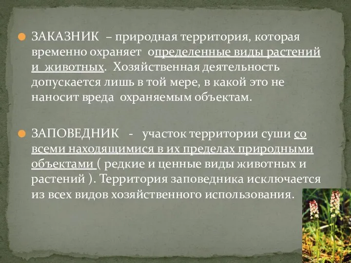 ЗАКАЗНИК – природная территория, которая временно охраняет определенные виды растений и