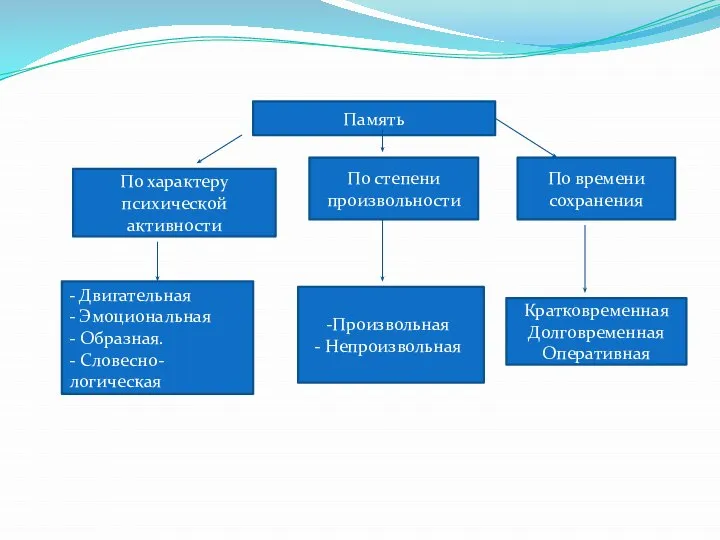 Память По характеру психической активности По степени произвольности По времени сохранения