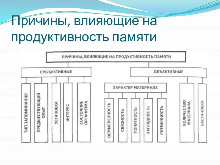 Причины, влияющие на продуктивность памяти