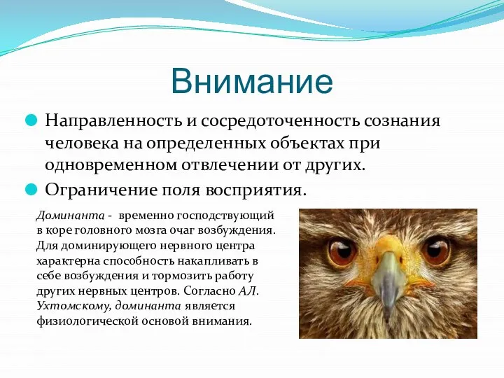 Внимание Направленность и сосредоточенность сознания человека на определенных объектах при одновременном