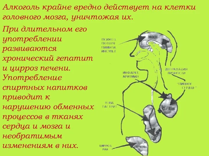 Алкоголь крайне вредно действует на клетки головного мозга, уничтожая их. При