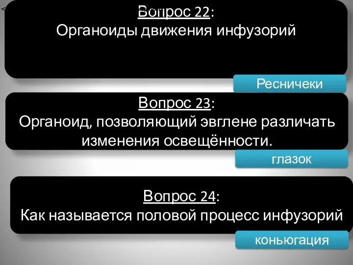 Вопрос 22: Органоиды движения инфузорий Вопрос 23: Органоид, позволяющий эвглене различать