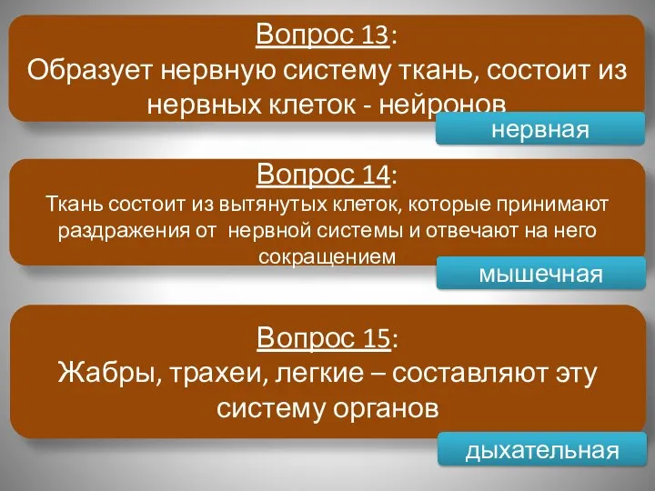 Вопрос 13: Образует нервную систему ткань, состоит из нервных клеток -