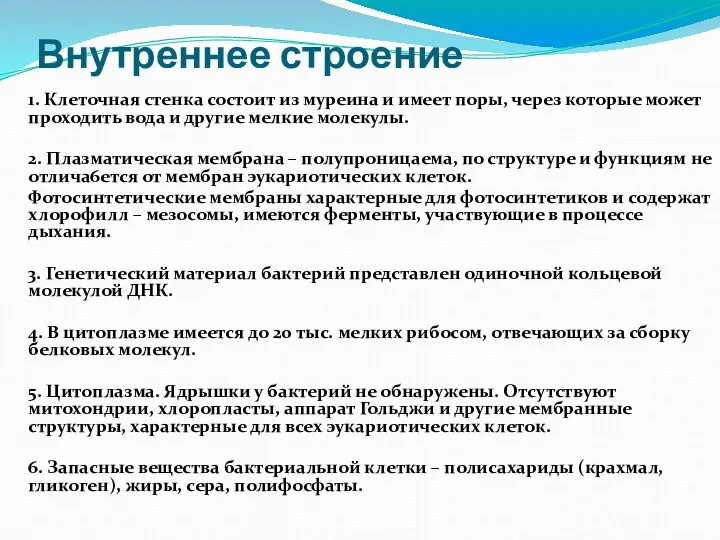 Внутреннее строение 1. Клеточная стенка состоит из муреина и имеет поры,