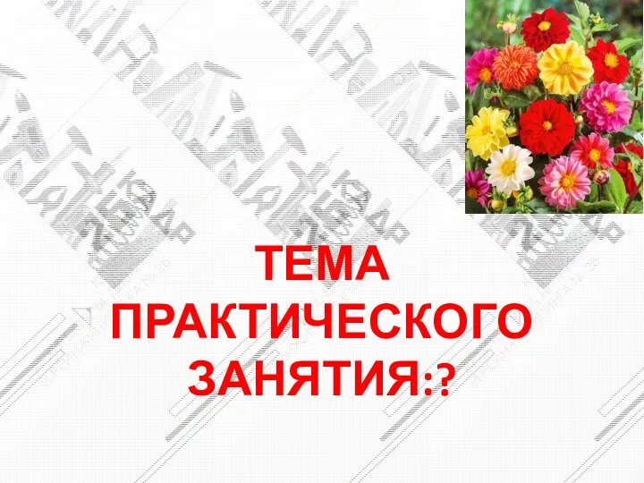 ТЕМА ПРАКТИЧЕСКОГО ЗАНЯТИЯ:?