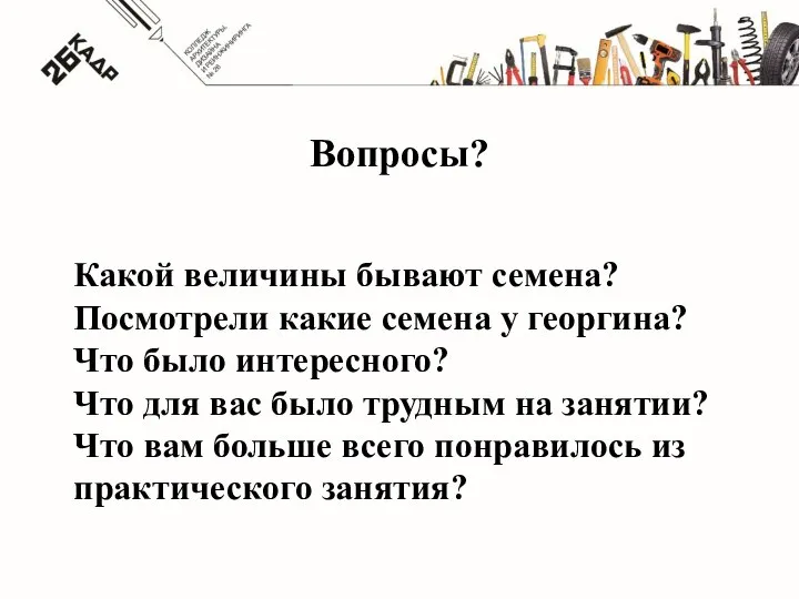 Вопросы? Какой величины бывают семена? Посмотрели какие семена у георгина? Что