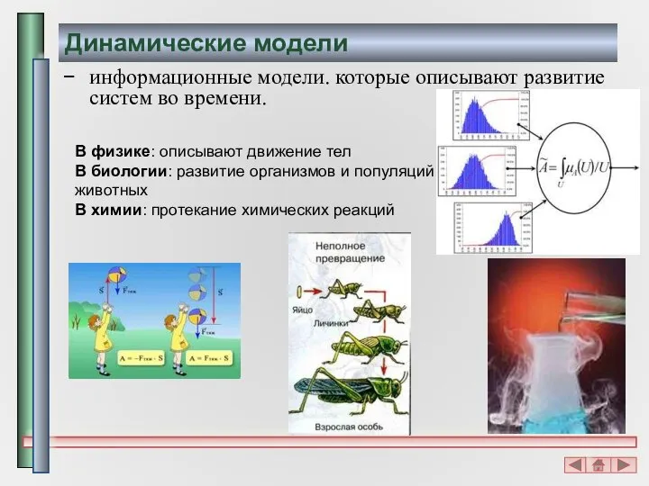 Динамические модели информационные модели. которые описывают развитие систем во времени. В