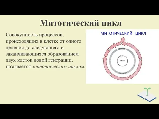 Митотический цикл Совокупность процессов, происходя­щих в клетке от одного деления до