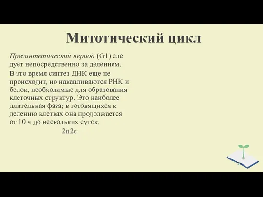 Митотический цикл Пресинтетический период (G1) сле­дует непосредственно за делением. В это