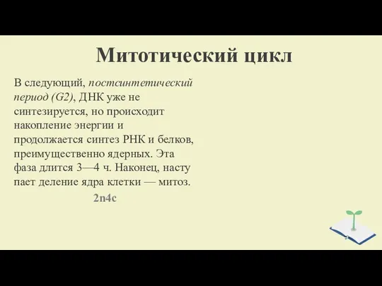 Митотический цикл В следующий, постсинтетический период (G2), ДНК уже не синтезируется,