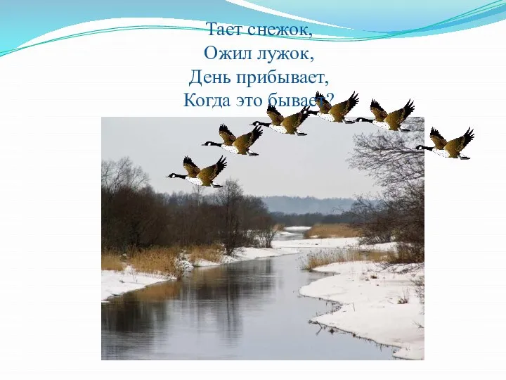 Лес просыпается после долгого зимнего сна. Где-то глубоко в земле корни