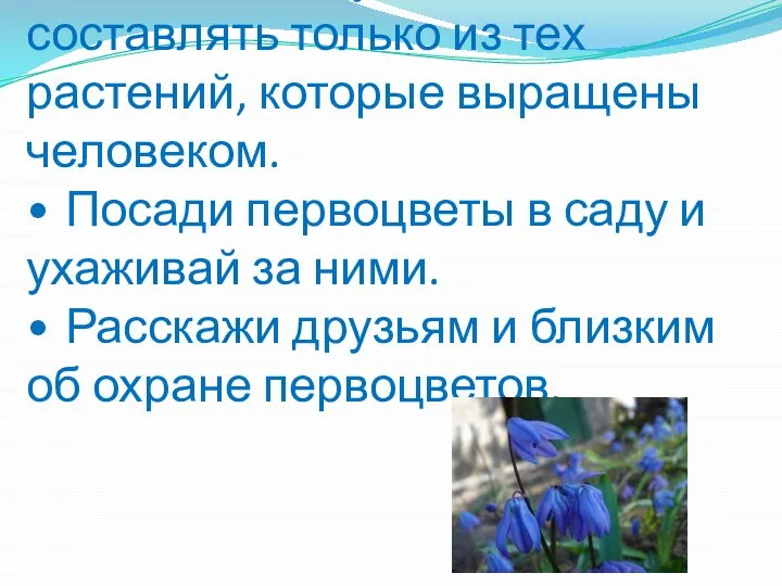 Помни правила: • Не рви цветы в лесу, на лугу. Пусть