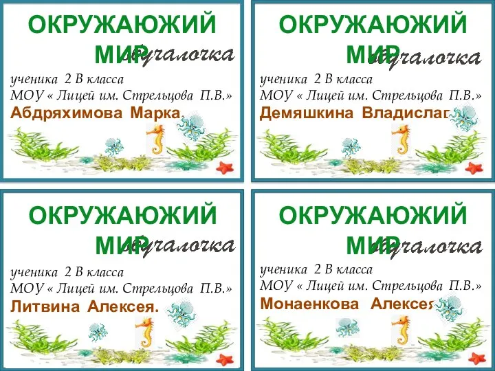 ученика 2 В класса МОУ « Лицей им. Стрельцова П.В.» Абдряхимова