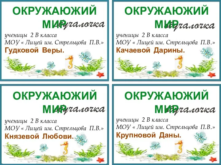 ученицы 2 В класса МОУ « Лицей им. Стрельцова П.В.» Гудковой