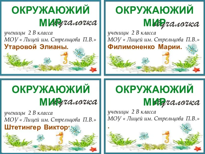 ученицы 2 В класса МОУ « Лицей им. Стрельцова П.В.» Утаровой