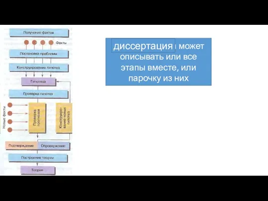 Научная статья может описывать или все этапы вместе, или парочку из них диссертация