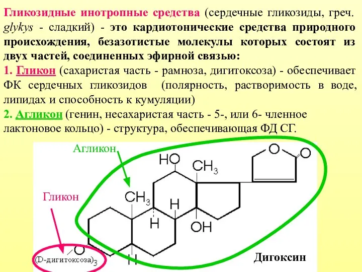 Гликозидные инотропные средства (сердечные гликозиды, греч. glykys - сладкий) - это