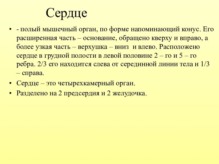 Сердце - полый мышечный орган, по форме напоминающий конус. Его расширенная