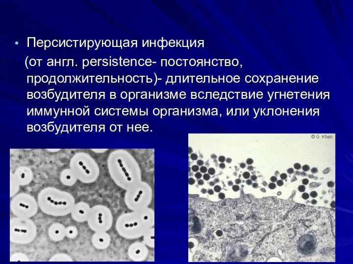 Персистирующая инфекция (от англ. рersistence- постоянство, продолжительность)- длительное сохранение возбудителя в