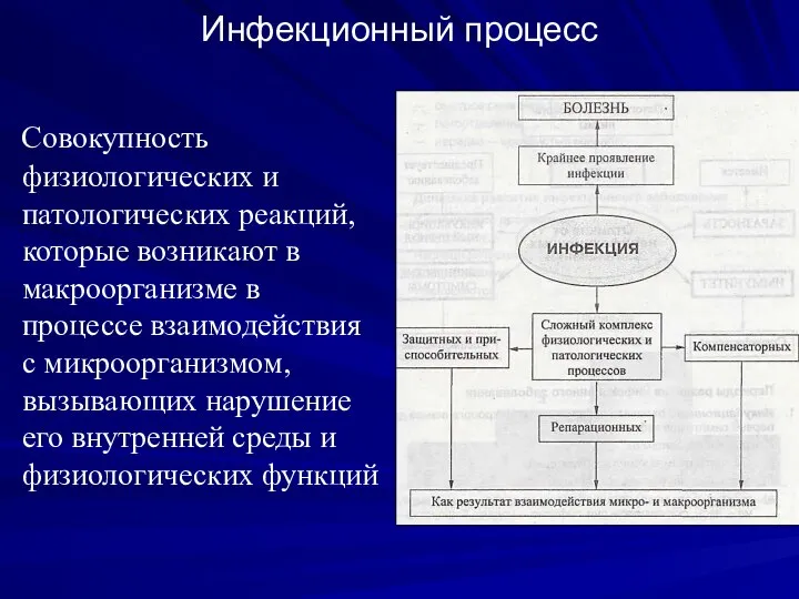 Инфекционный процесс Совокупность физиологических и патологических реакций, которые возникают в макроорганизме