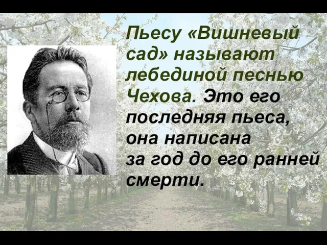 Пьесу «Вишневый сад» называют лебединой песнью Чехова. Это его последняя пьеса,